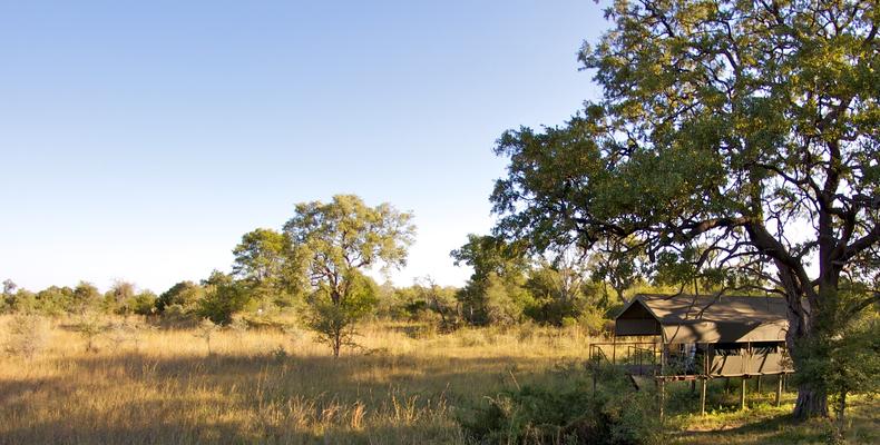 Lodge Surrounding 